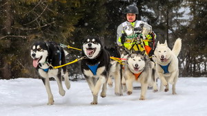 Schlittenhundetage 2018 Wallgau